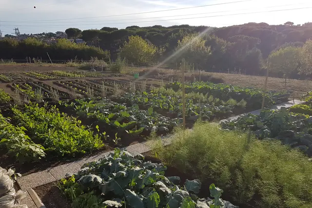 Panoramica dei lotti al tramonto